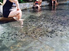 -三亚珠江南田温泉度假区