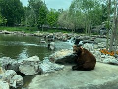 -北京野生动物园