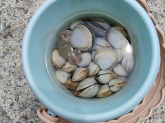 -双合园·海鲜水饺青岛菜(九水东路店)