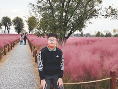 -汉长安城未央宫国家考古遗址公园