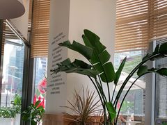 -Blueglass酸奶(财富购物中心店)