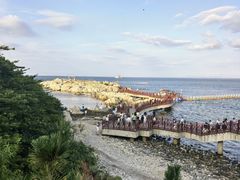 -养马岛旅游度假区