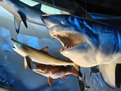 -陕西自然博物馆