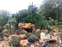-东莞植物园
