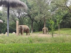 -北京野生动物园