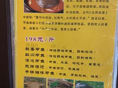 -丁老爷子苏香圆