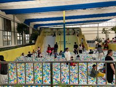 -南宫五洲植物乐园