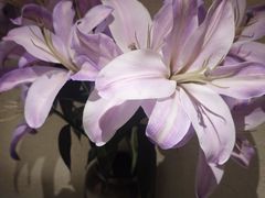 -77号渔船·蒸海鲜青岛菜(积米崖店)