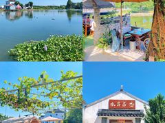 -水岸居湖景农家乐·阳澄湖大闸蟹