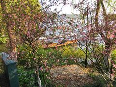 -苏堤停车场