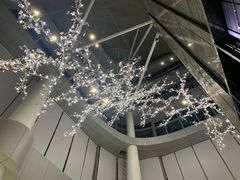 -南宁那莲豪华精选酒店-云霄酒廊·80楼高空城景酒吧