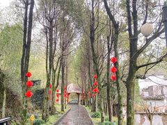 -黄山翡翠谷景区