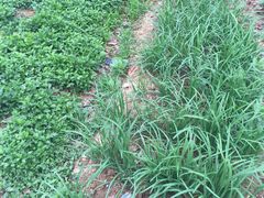 -天目湖刘老四农庄