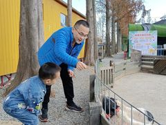 -前小桔亲子创意农场·草莓采摘·露营烧烤