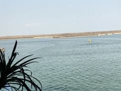 -抱抱地球咖啡馆(国家海洋博物馆店)