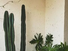 门面-云里小坐·小院里·团建·宴请·下午茶(三圣乡店)