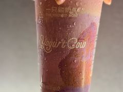 -一只酸奶牛(奎星楼店)