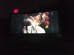 -枫花园汽车电影院(朝阳公园店)