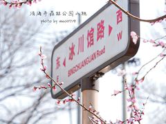 -中国第四纪冰川遗迹陈列馆