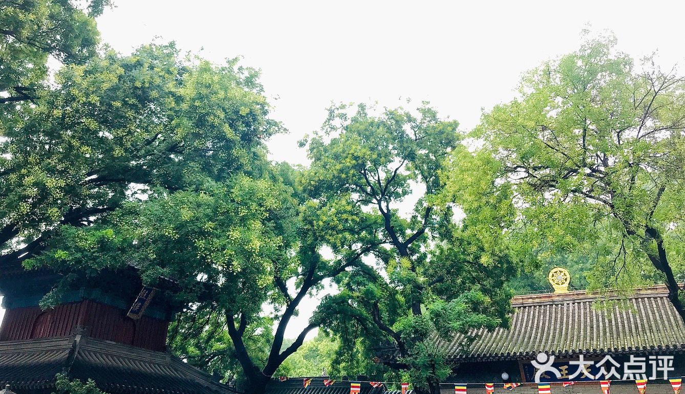 雨后～如新