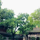 雨后～如新