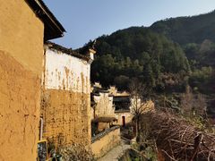 -杨家堂村
