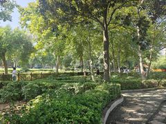 -西苑公园