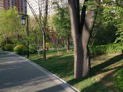 -迎泽公园