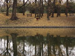 -上海共青森林公园