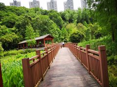 -重庆彩云湖湿地公园