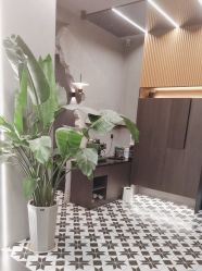 -老肖男士理发店