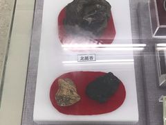 -北京中医药大学-中医药博物馆