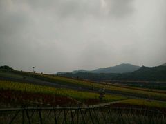-东部华侨城