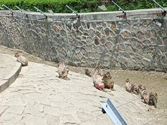 -哈尔滨北方森林动物园