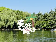 -上海共青森林公园