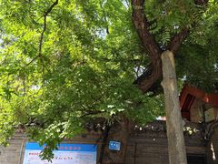 -洛阳周公庙博物馆