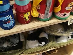 -万达广场(金堂店)