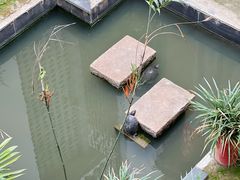 景观位-留芳·文旅古月楼(老街店)