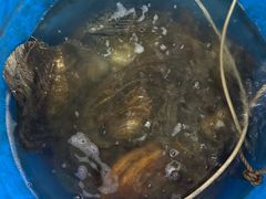 -西江河鲜·趣苑酒楼(鼎湖牌坊店)