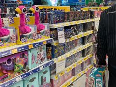 -TOYSRUS玩具反斗城(厦门新生活广场店)