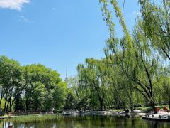 -玲珑塔公园