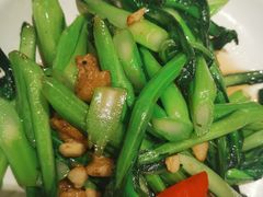 -虾饺妹·酒家(金碧店)