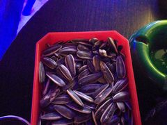 -好久不见网红乐队酒吧(鼓浪屿海底世界店)