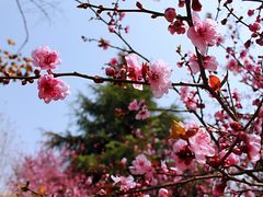 -西安外国语大学(长安校区)