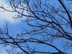 -盘龙城国家考古遗址公园