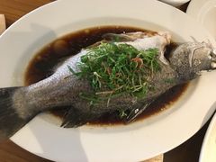 清蒸鲈鱼-泰华海鲜中餐厅(普吉镇店)