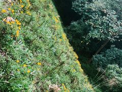-西湖风景区-江洋畈生态公园