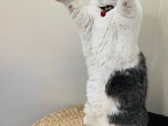 -seeu coffee(江滩店)