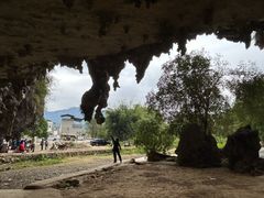 -食德喜·阳山鸡王食研基地