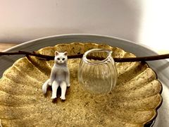 -猫里有甜